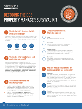 DOB Survival Kit: Decoding the DOB