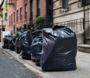 DSNY Regulations