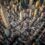 What NYC’s Rental Ripoff Report Means For Property Owners