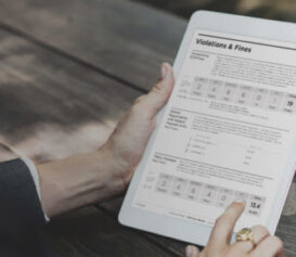 Due Diligence Report