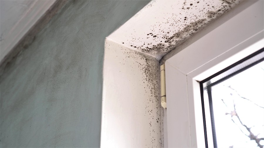 In this crosspost, David Crown shares three tips for preventing mold from wrecking your units - and your company finances.