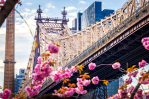 It's finally springtime in NYC - and the perfect time to ensure your cooling towers & benchmarking compliance is on point. Here's how: