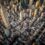 What NYC’s Rental Ripoff Report Means For Property Owners